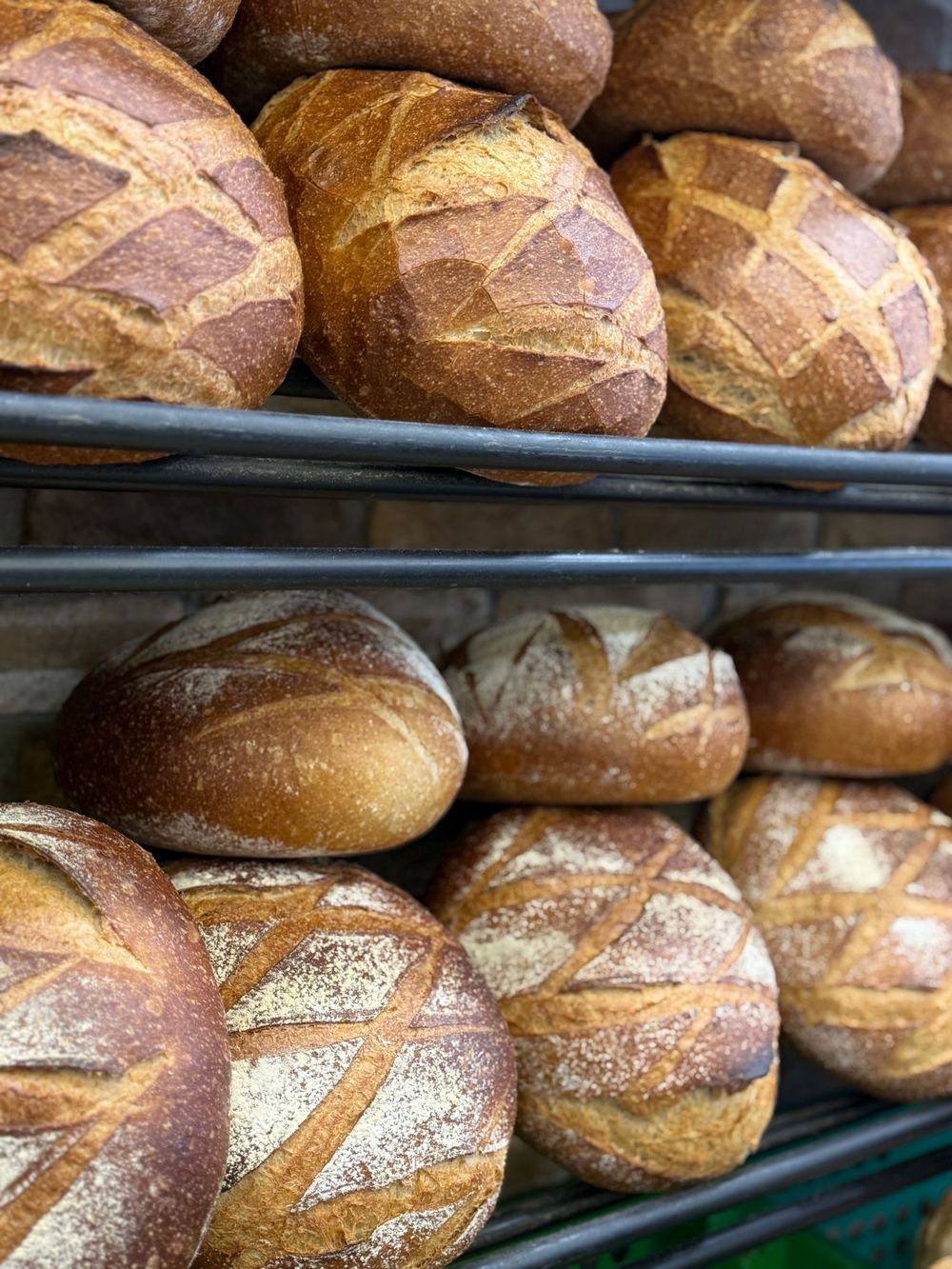 Rows of crusty sourdough loaves cooling on racks